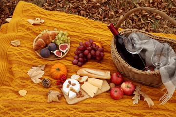 Knitted plaid with picnic basket, wine and snacks outdoors on autumn day, above view