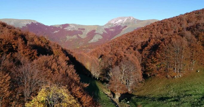 Fall aerial shots over the beech forest at Monte Terminillo, in the central Italy. The beautiful landscape of the rocky mountain and its forest coloured by the warm tones of the fall season.
