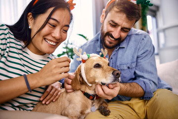 Christmas celebration at home with the dog