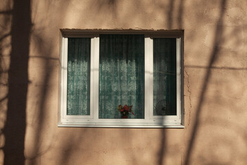 White window with curtains.