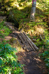 Fototapeta premium 霞沢岳、乗鞍岳、上高地、穂高岳などを見るために、長野県松本市の晩秋の雪が積もる焼岳を登山する風景 Scenery of climbing Mt. Yakedake with snow in late autumn in Matsumoto, Nagano Prefecture to see Mt. Kasumisawa, Mt. Norikura, Kamikochi and Mt. Hodaka