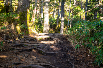 Obraz premium 霞沢岳、乗鞍岳、上高地、穂高岳などを見るために、長野県松本市の晩秋の雪が積もる焼岳を登山する風景 Scenery of climbing Mt. Yakedake with snow in late autumn in Matsumoto, Nagano Prefecture to see Mt. Kasumisawa, Mt. Norikura, Kamikochi and Mt. Hodaka