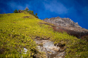 霞沢岳、乗鞍岳、上高地、穂高岳などを見るために、長野県松本市の晩秋の雪が積もる焼岳を登山する風景 Scenery of climbing Mt. Yakedake with snow in late autumn in Matsumoto, Nagano Prefecture to see Mt. Kasumisawa, Mt. Norikura, Kamikochi and Mt. Hodaka