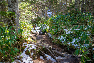 霞沢岳、乗鞍岳、上高地、穂高岳などを見るために、長野県松本市の晩秋の雪が積もる焼岳を登山する風景 Scenery of climbing Mt. Yakedake with snow in late autumn in Matsumoto, Nagano Prefecture to see Mt. Kasumisawa, Mt. Norikura, Kamikochi and Mt. Hodaka
