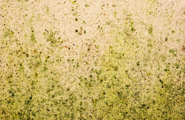 Stained concrete surface for the background