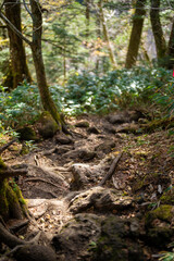 霞沢岳、乗鞍岳、上高地、穂高岳などを見るために、長野県松本市の晩秋の雪が積もる焼岳を登山する風景 Scenery of climbing Mt. Yakedake with snow in late autumn in Matsumoto, Nagano Prefecture to see Mt. Kasumisawa, Mt. Norikura, Kamikochi and Mt. Hodaka