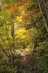 霞沢岳、乗鞍岳、上高地、穂高岳などを見るために、長野県松本市の晩秋の雪が積もる焼岳を登山する風景 Scenery of climbing Mt. Yakedake with snow in late autumn in Matsumoto, Nagano Prefecture to see Mt. Kasumisawa, Mt. Norikura, Kamikochi and Mt. Hodaka