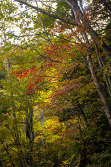 霞沢岳、乗鞍岳、上高地、穂高岳などを見るために、長野県松本市の晩秋の雪が積もる焼岳を登山する風景 Scenery of climbing Mt. Yakedake with snow in late autumn in Matsumoto, Nagano Prefecture to see Mt. Kasumisawa, Mt. Norikura, Kamikochi and Mt. Hodaka