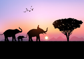Fototapeta na wymiar silhouette image Black elephant with Elephant mahout walking at the with mountain and sunset background Evening light vector Illustration