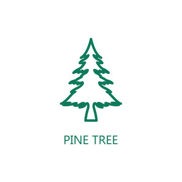 Pine Tree icon. Trendy flat vector Pine Tree icon on white background, vector illustration can be use for web and mobile
