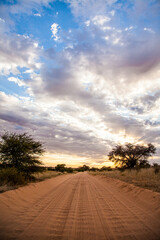 Kalahari Sunset in the Kgalagadi Transfrontier Park, South Africa	