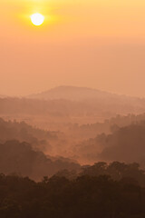 Vertical orange sky of sunrise or sunset with tree on mountain