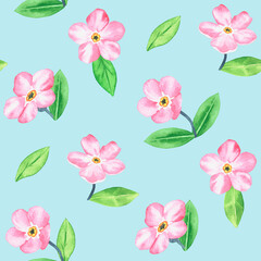 Pink forget-me-not. Pattern. Watercolor botanical illustration included in the collection of wildflowers. Isolated image on a blue background. For your design.