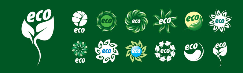 A set of vector eco icons on a green background