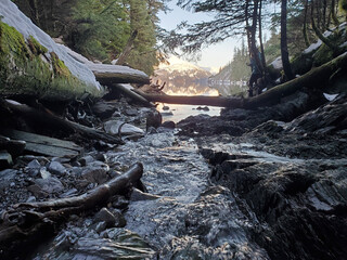 river in the woods