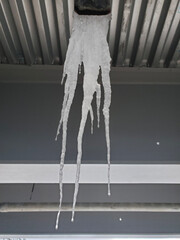 icicles on a white background