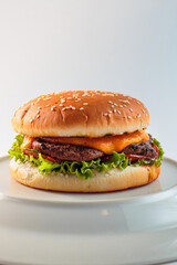 burger, hamburger on a white background