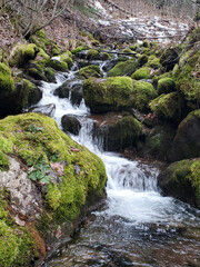 waterfall in the forest