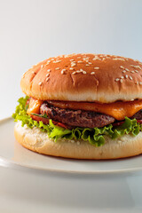 burger, hamburger on a white background