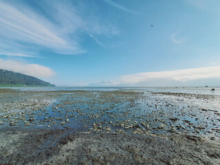 beach and sea