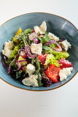 Salad on a white background