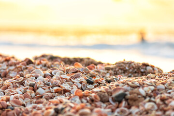 Sunset on the Mediterranean Sea. Coast with heaps of seashells. The sun's rays are reflected in the water.