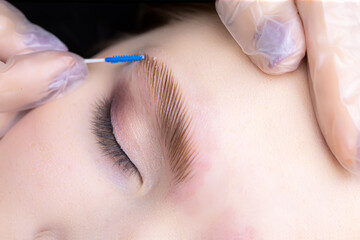 shaping and directing the growth of eyebrows with a brush after the eyebrow lamination procedure - obrazy, fototapety, plakaty