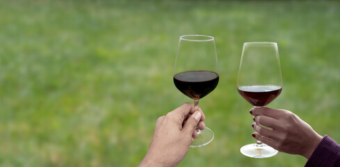 hand holding wine glass in vineyard