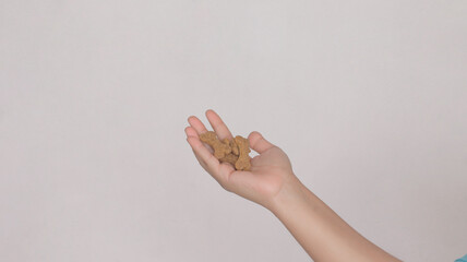 Hand with bone-shaped croquettes, for dogs, on white background. Closeup