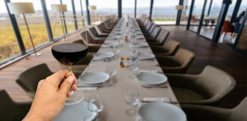 hand holding wine glass in vineyard