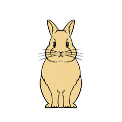 Netherland Dwarf　ネザーランドワーフ