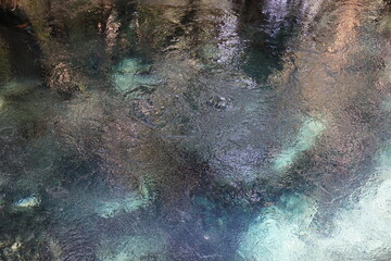 Bubbling thermal pool, Mantaranka, Northern Territory, Australia.