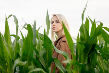 Fototapeta premium Blonde woman in cloak in cornfield in summertime