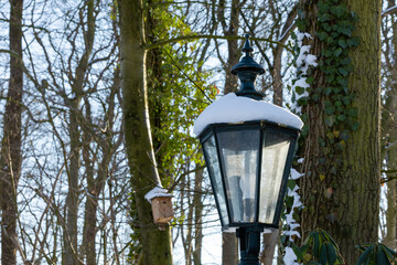 Fototapeta na wymiar street lamp in the park with snow