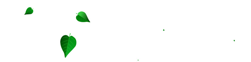 Mint Leaves Flying Vector Panoramic White