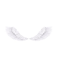White bird or angel wings, vector illustration.