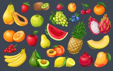 Fruits and berries vector illustration. Lemon, watermelon, avocado,peach, apple, orange, and melon. Pomegranate, pitaya, raspberries, strawberries, grapes and blueberries.