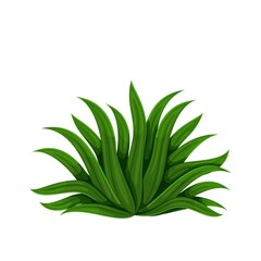 Green tropical plant bush vector illustration.