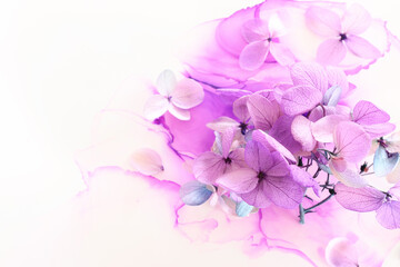 Fototapeta na wymiar Creative image of pastel violet and pink Hydrangea flowers on artistic ink background. Top view with copy space