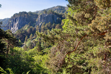 Picos de Urbión. España. Europa.
