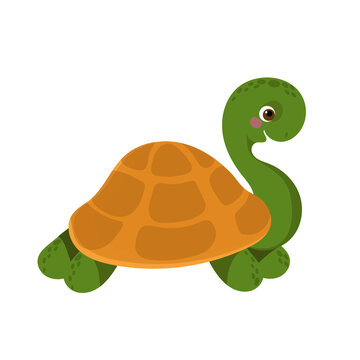 Vector cute turtle character flat kids design