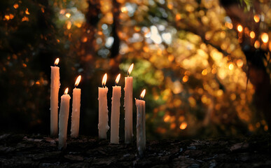 Magic burning candles on glowing dark natural background. mysterious fairy scene. witchcraft...