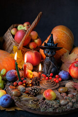 Black cat toy, fruits, candles, pumpkins on dark background. witchcraft ritual for autumn holiday -...