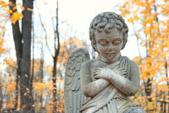 Angel baby statue on old cemetery, autumn natural background. Design for condolences, mourning cards or obituary. concept of religion, faith, Remember, mourn, memory. all saints day, All Souls Day