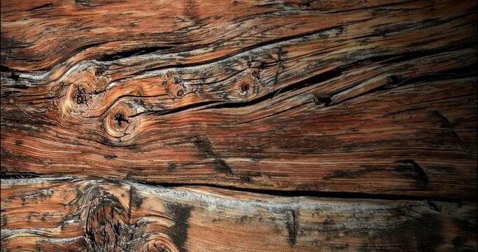 wood