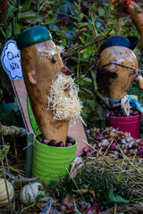 courge personnage