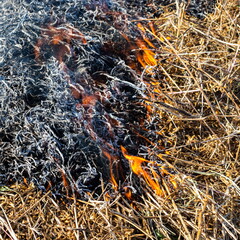 Close-up background of fire is rising from burning straw to black ash and smoke