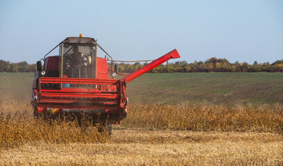 Fototapeta na wymiar Red combine harvesting a crop of soybeans