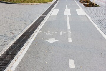 Bicycle road sign on asphalt Bicycle path in the morning in the city in summer with elms Direction of movement of the bike Cycle path direction sign painted on the carriageway on the city street of