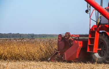 Red combine harvesting a crop of soybeans